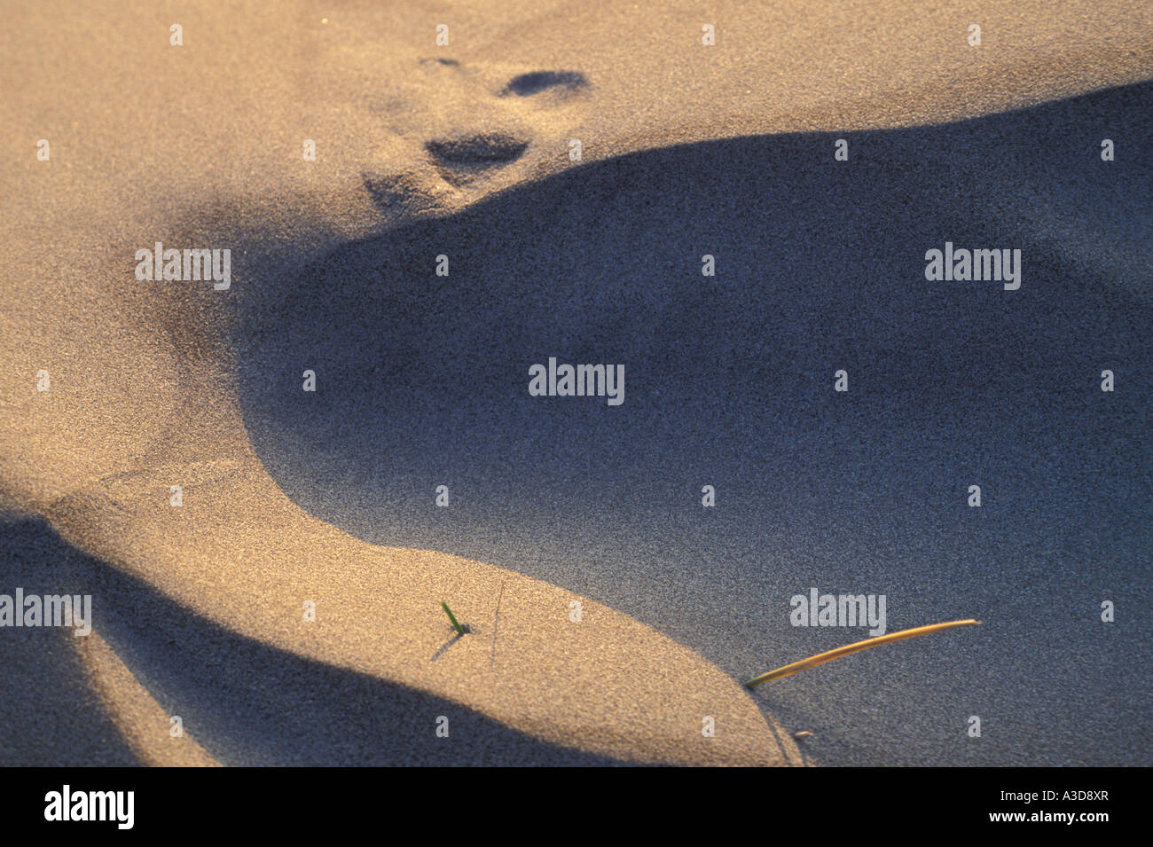 Geology sand hi-res stock photography and images - Alamy