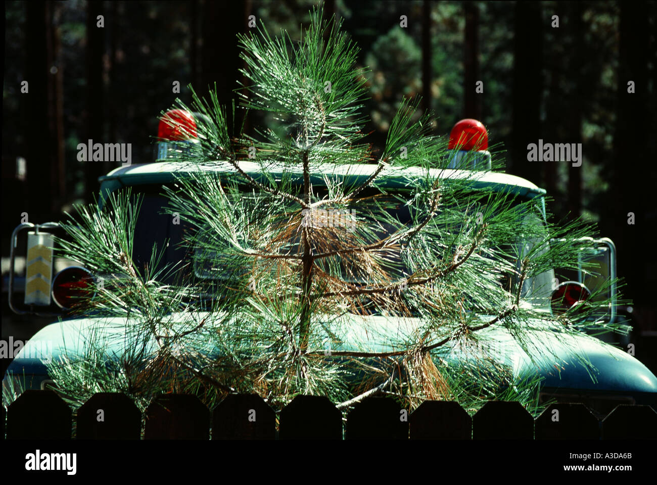 Nature And Man Made Objects Series Stock Photo Alamy