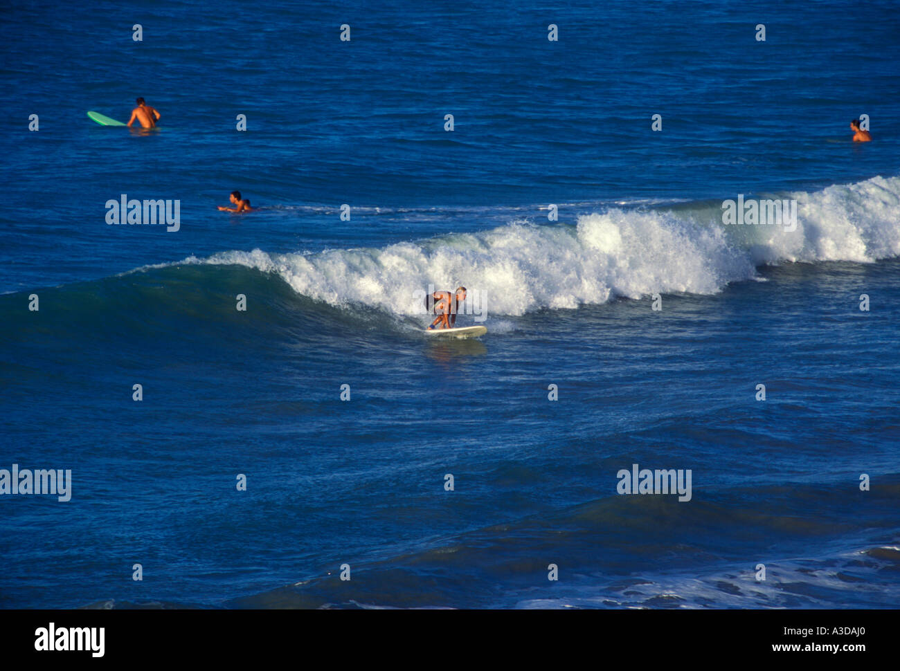 Puerto Ricans, Puerto Rican men, young men, men, male surfer, male