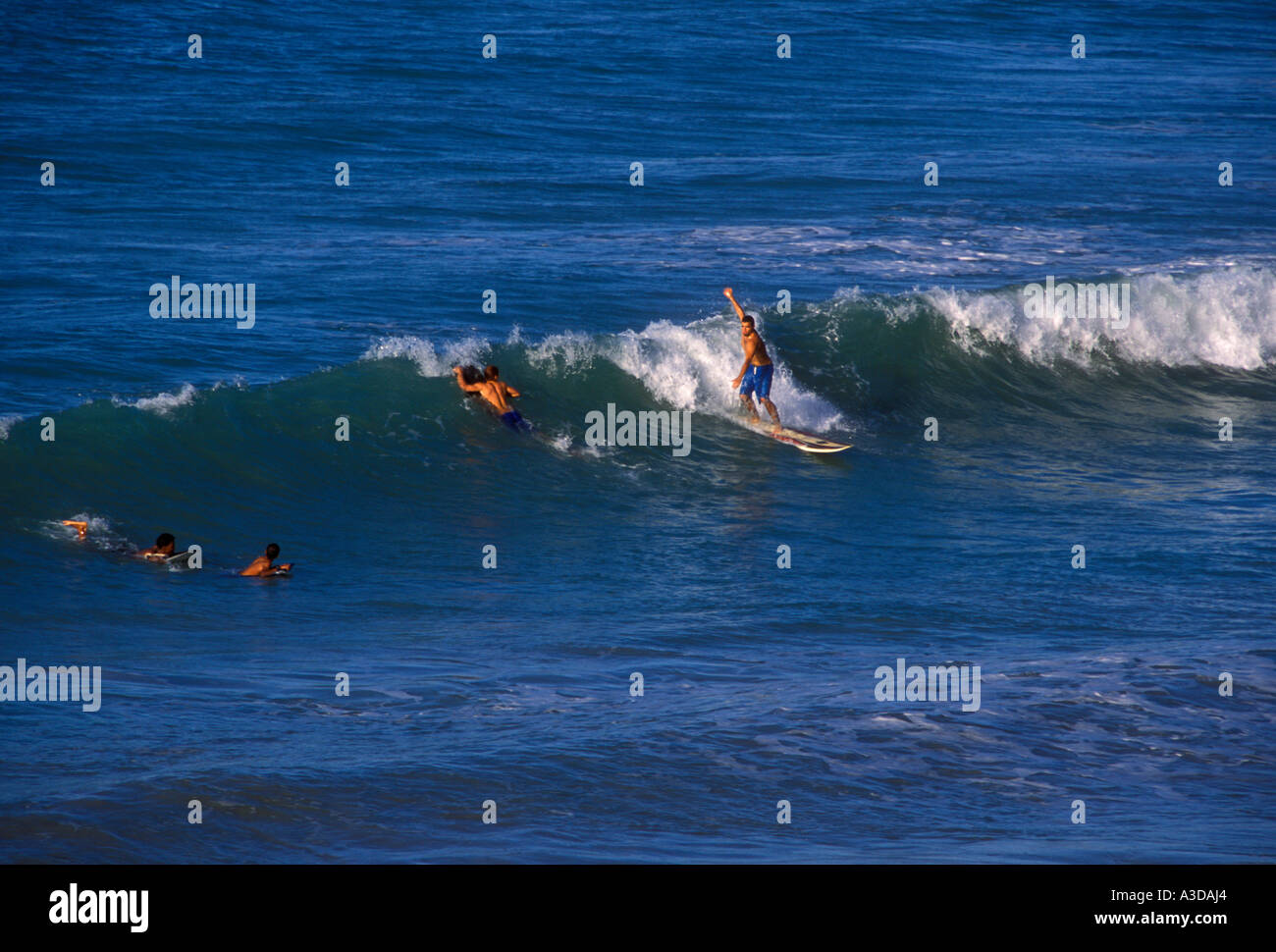 Puerto Ricans, Puerto Rican men, young men, men, male surfer, male