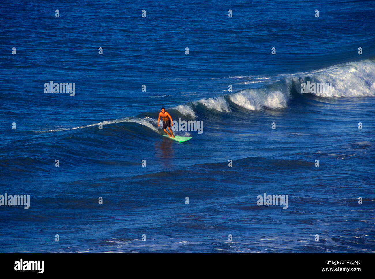 Puerto Rican, Puerto Rican man, young man, man, male surfer, surfer