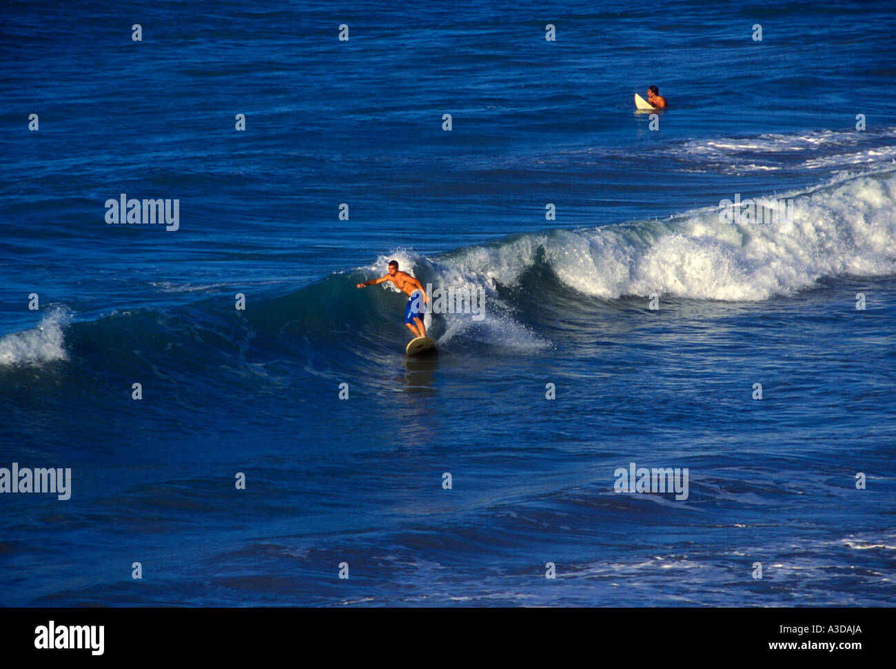 Puerto Ricans, Puerto Rican men, young men, men, male surfer, male
