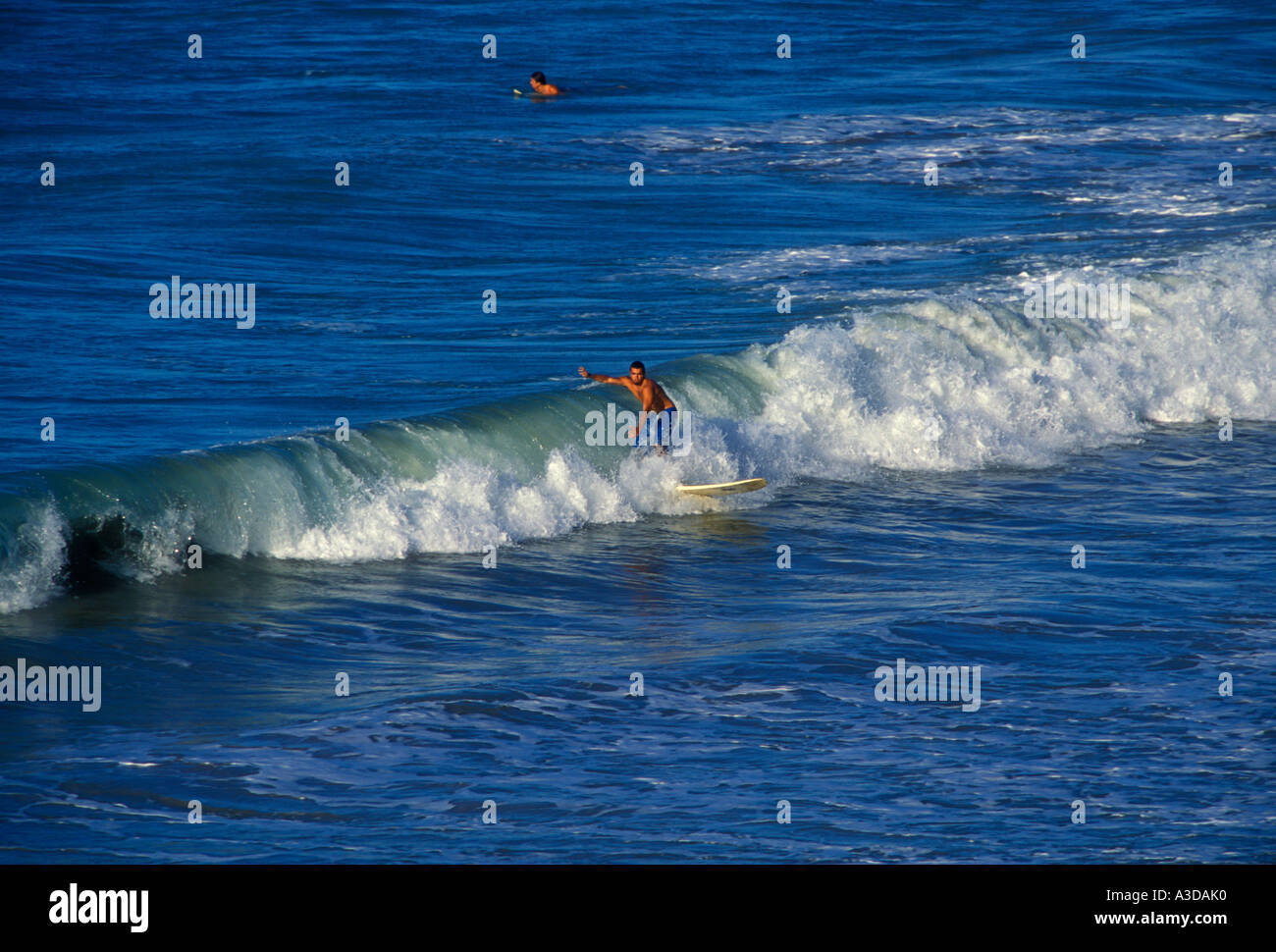 Puerto Ricans, Puerto Rican men, young men, men, male surfer, male