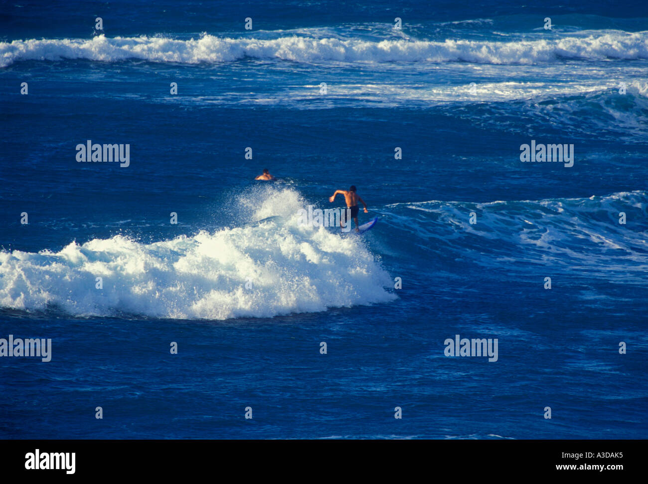 Puerto Ricans, Puerto Rican men, young men, men, male surfer, male