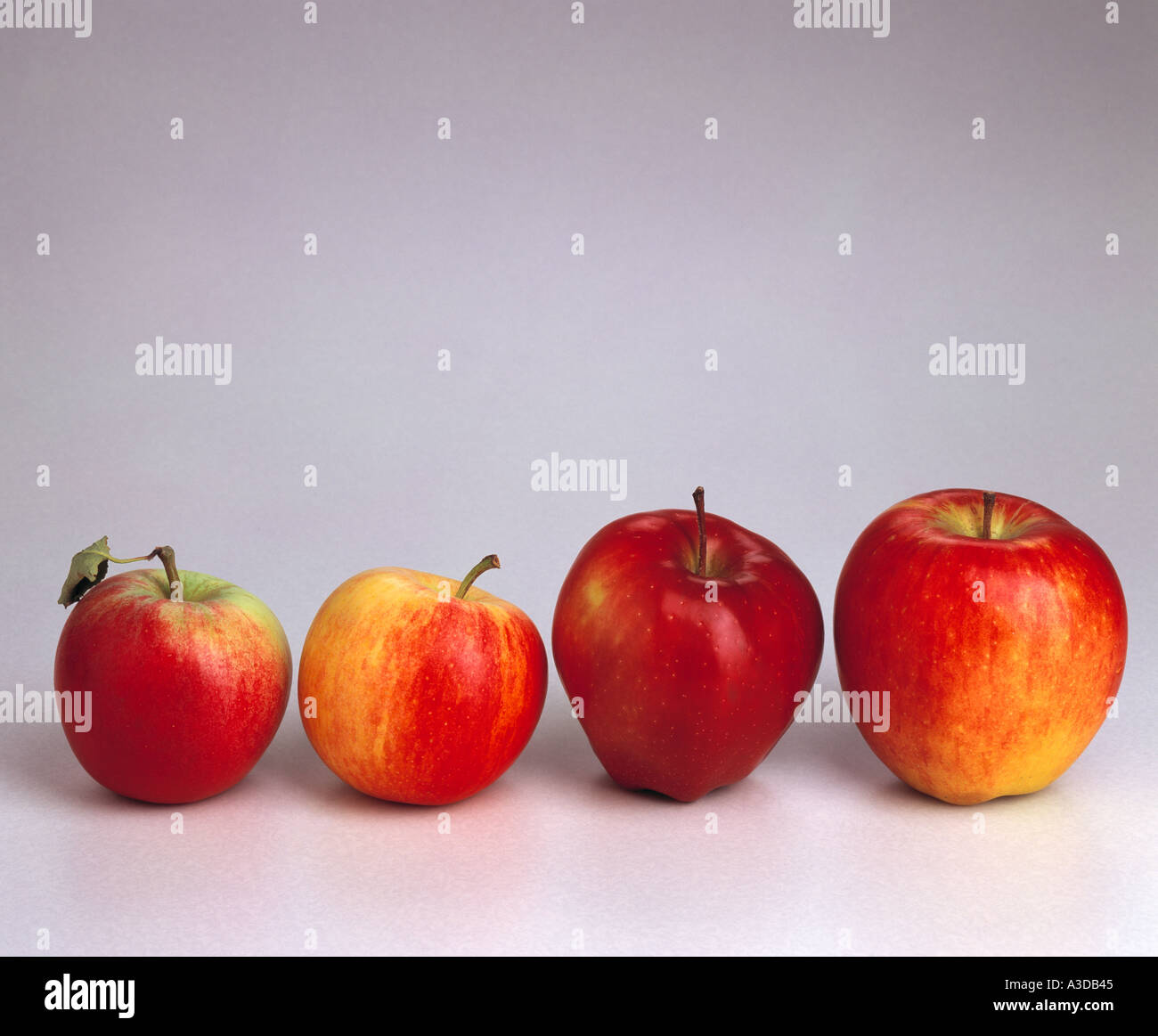 https://c8.alamy.com/comp/A3DB45/varieties-of-apples-katy-royal-gala-red-delicious-braeburn-A3DB45.jpg