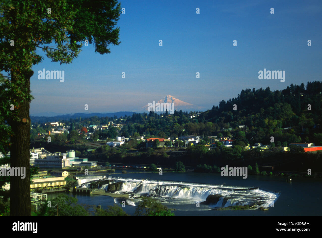 Willamette Falls on the Willamette River near Oregon City  with Mt. Hood in the distance Stock Photo