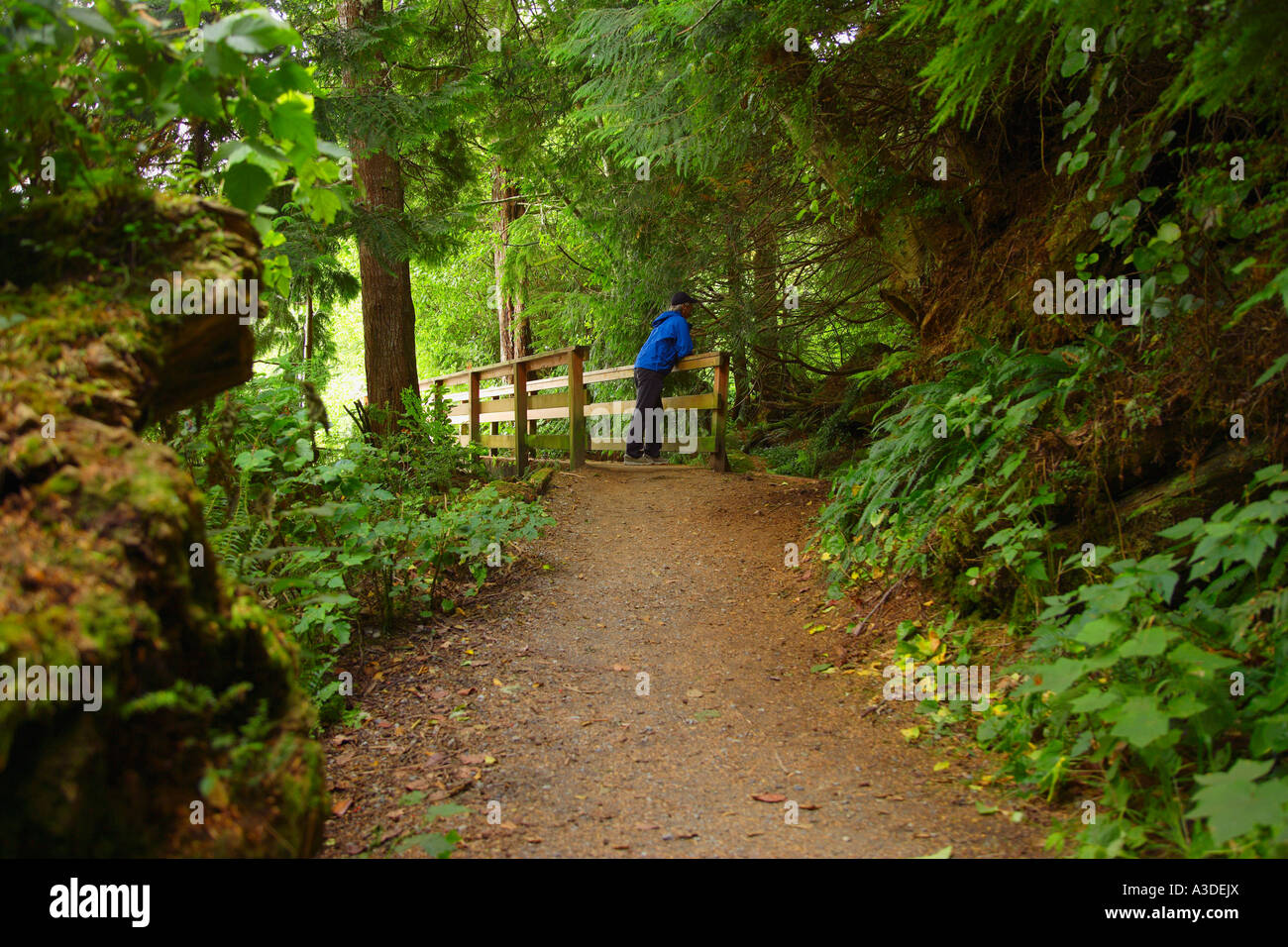 Man on a hike Stock Photo