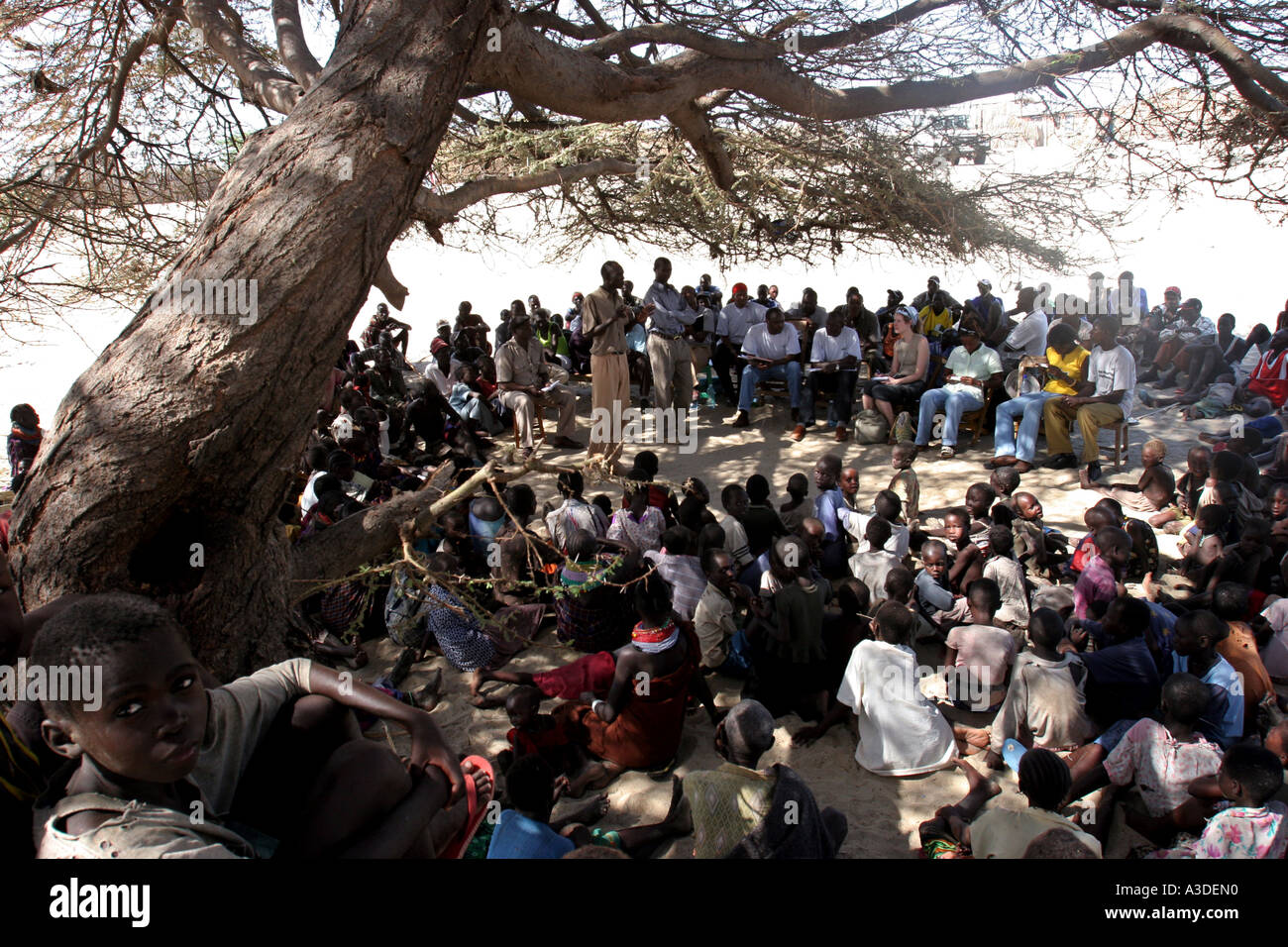 Longech village meetings are held under the tree the midday sun can see temperatures over 40 degrees celsius Stock Photo