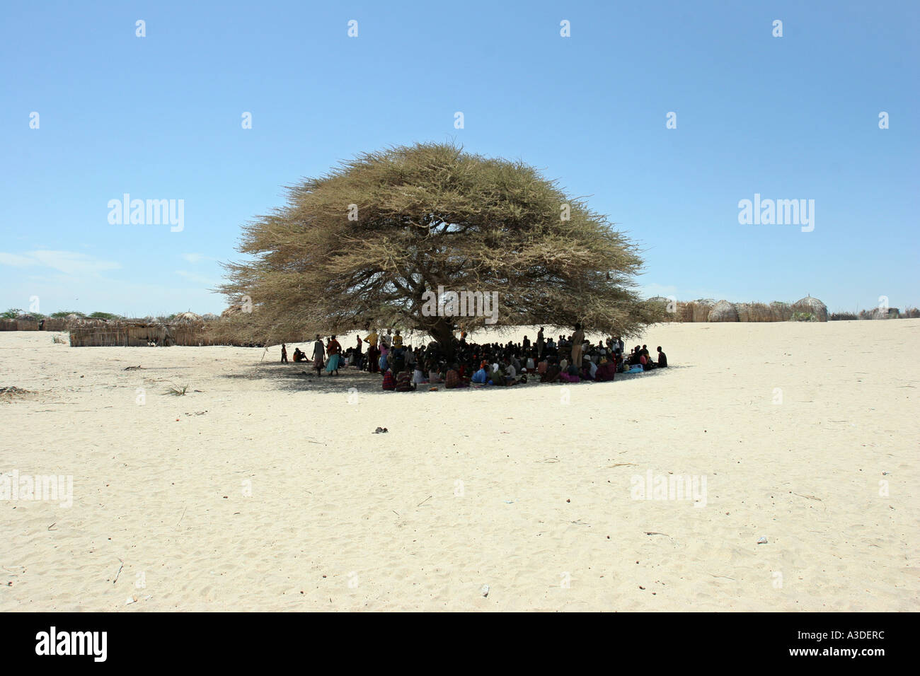 Longech village meetings are held under the tree the midday sun can see temperatures over 40 degrees celsius Stock Photo