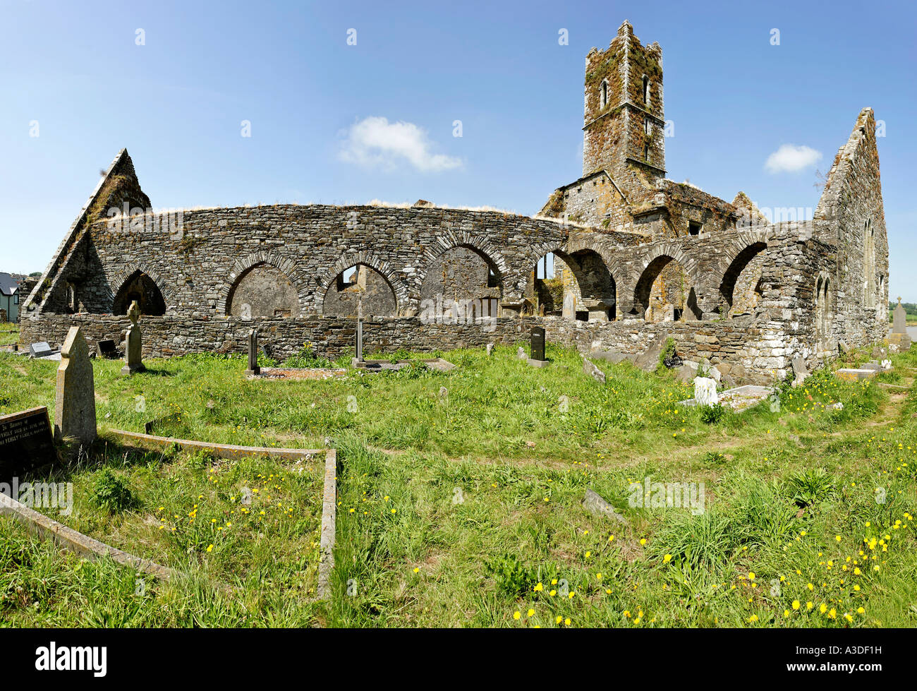 Timoleague Abbey was founded 1240 by franciscan monks , Ireland Stock Photo