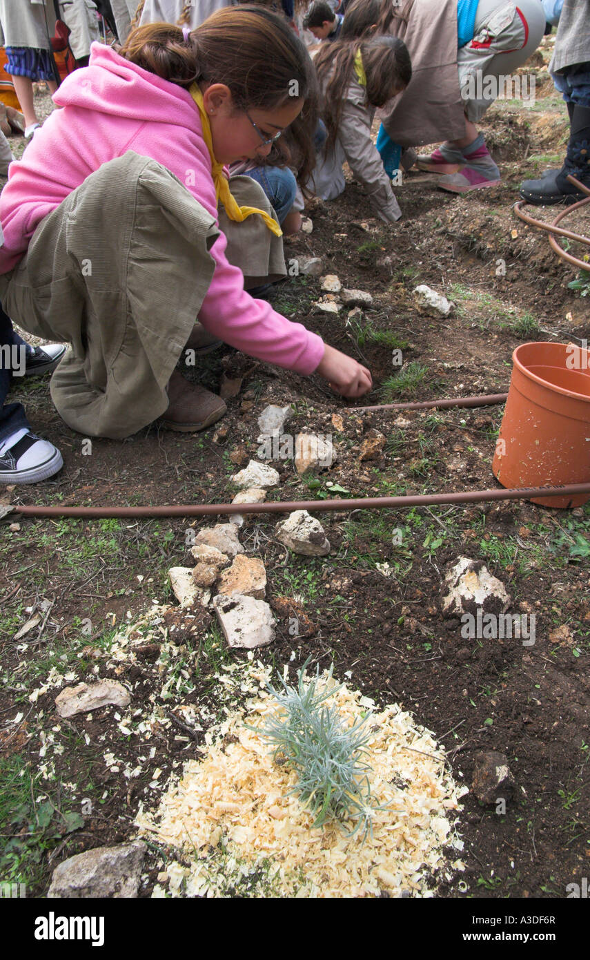 Israel Jerusalem Museum of Nature Tu Bishvat Jewish Festival of Trees