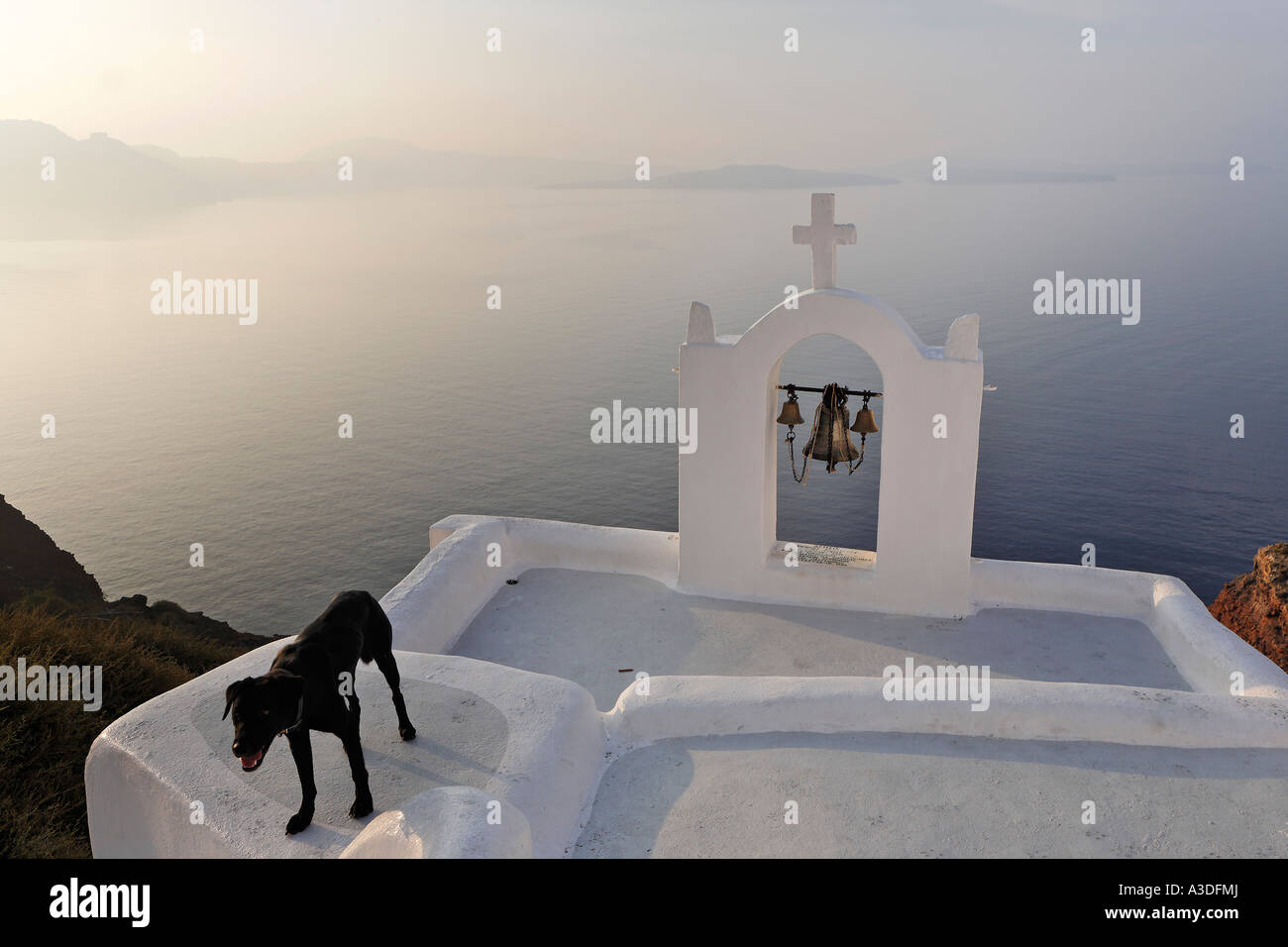 A black dog before the white bell tower of a small chapel, Oia, Santorini, Greece Stock Photo