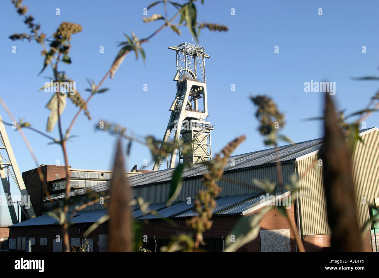 The pithead winding gear Clipstone Colliery Clipstone nr Mansfield Nottinghamshire Stock Photo