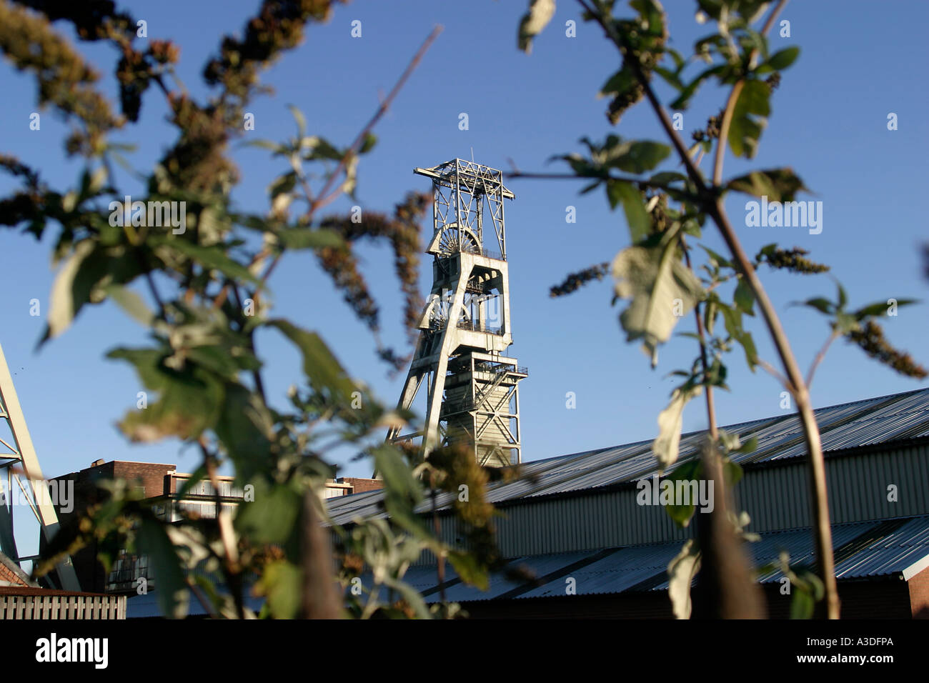 The pithead winding gear Clipstone Colliery Clipstone nr Mansfield Nottinghamshire Stock Photo