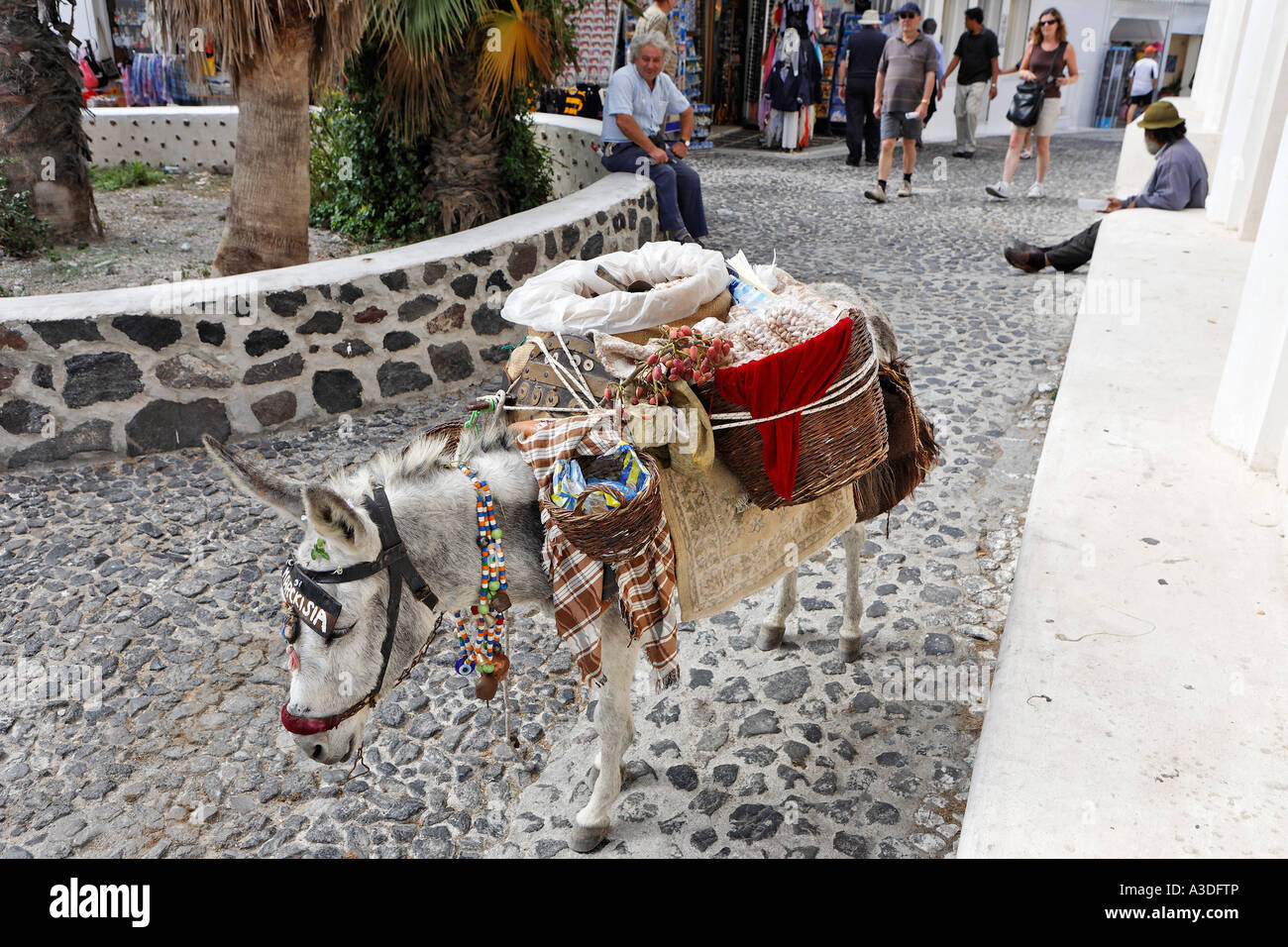 A donkey is loaded with pistachio, Thira, Santorini, Greece Stock Photo