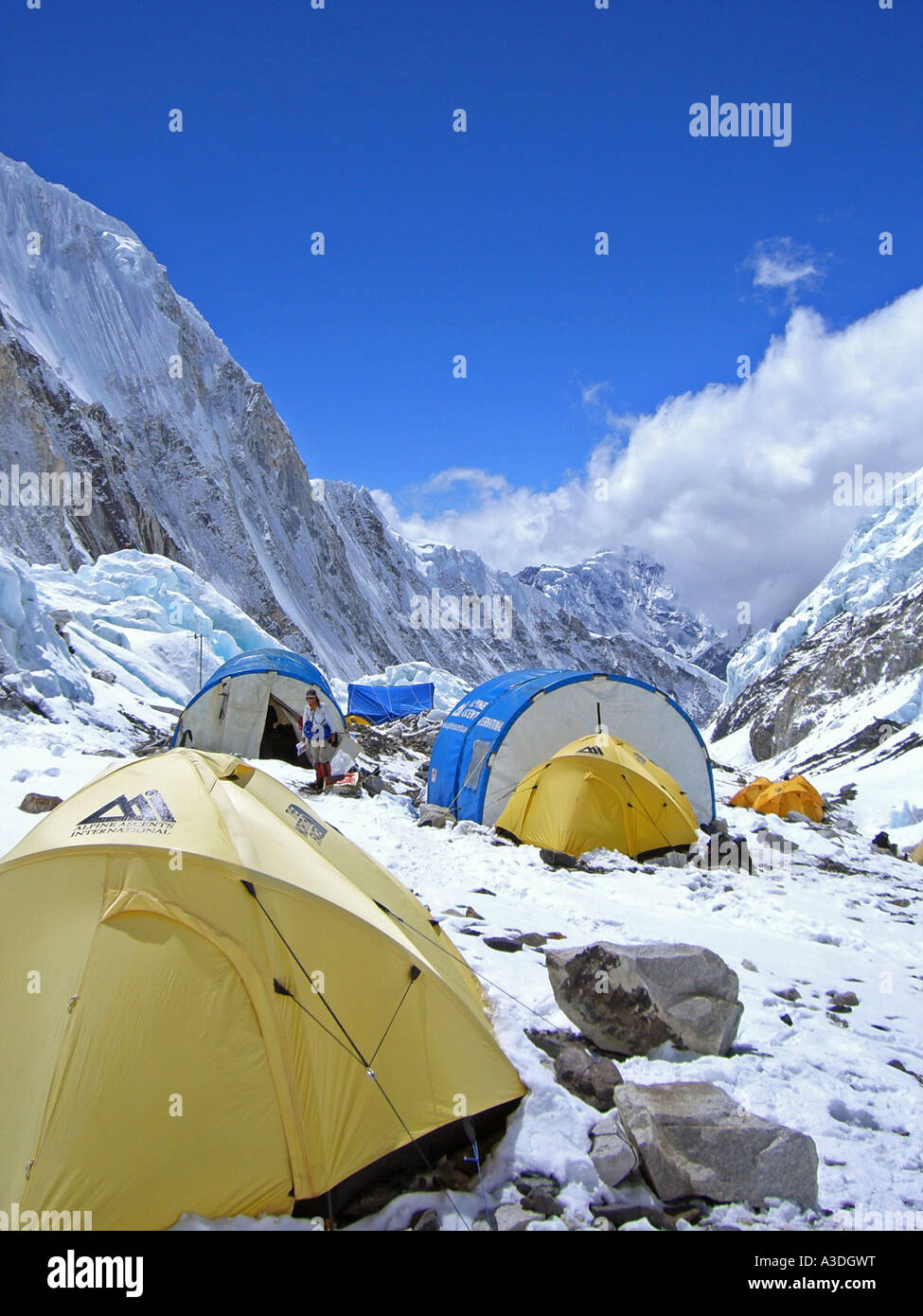 Yellow tents and crew tents in camp II, 2, Western Cwm, 6500m, Mount Everest, Himalaya, Nepal Stock Photo