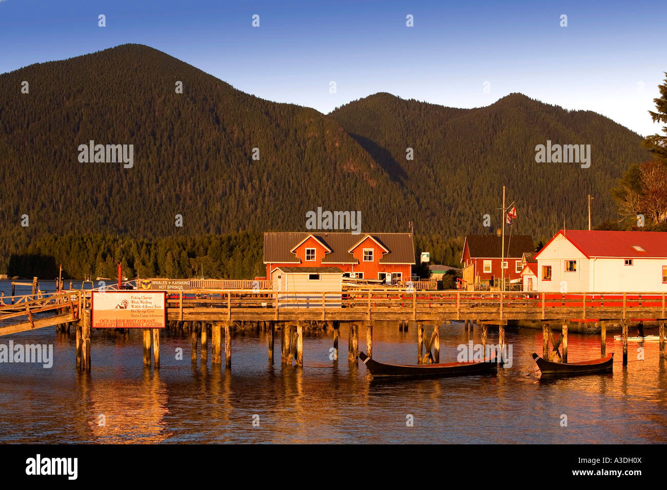 Docks at Tofino Stock Photo Alamy