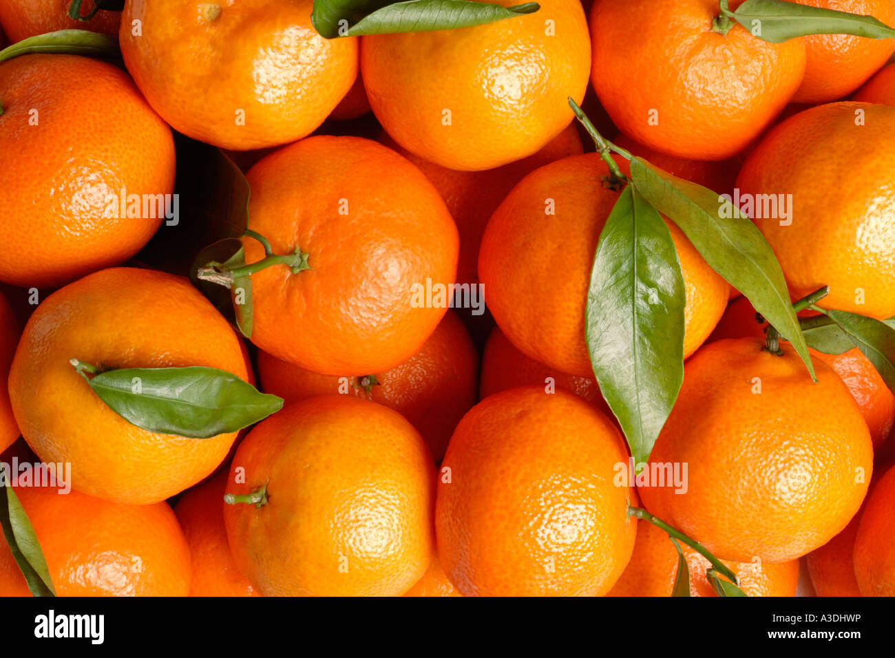 Clementines with leaves Stock Photo Alamy