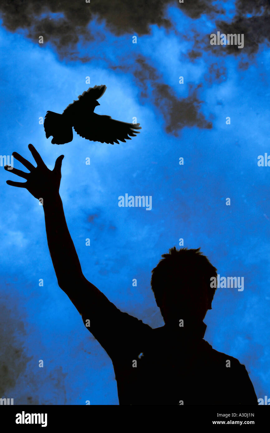 Releasing a bird hires stock photography and images Alamy