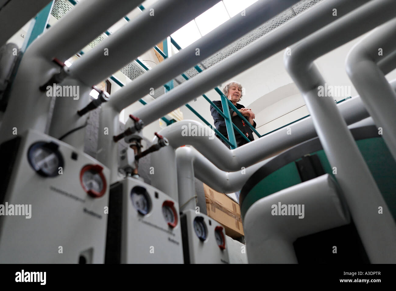 Electric power company Schoenau, EWS deals with alternative electricity without atom power. Director Ursula Sladek in the Stock Photo