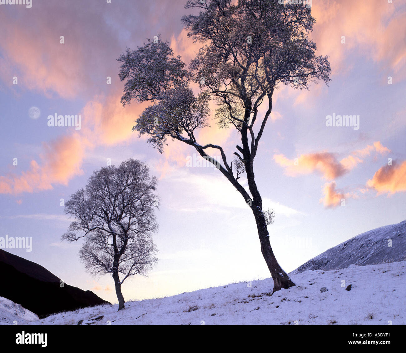 GB - SCOTLAND: Wintertime in Glen Lochsie Stock Photo
