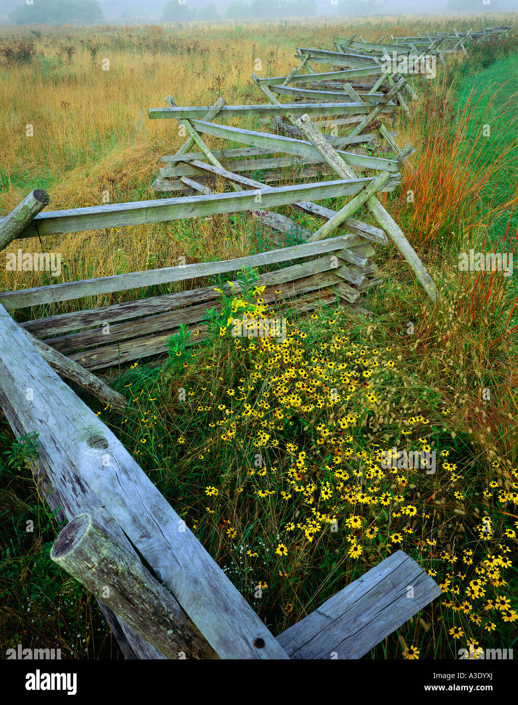 Wormwood Fence Near Plum Run, Gettysburg National Military Park, Gettysburg, Pennsylvania, Stock Photo