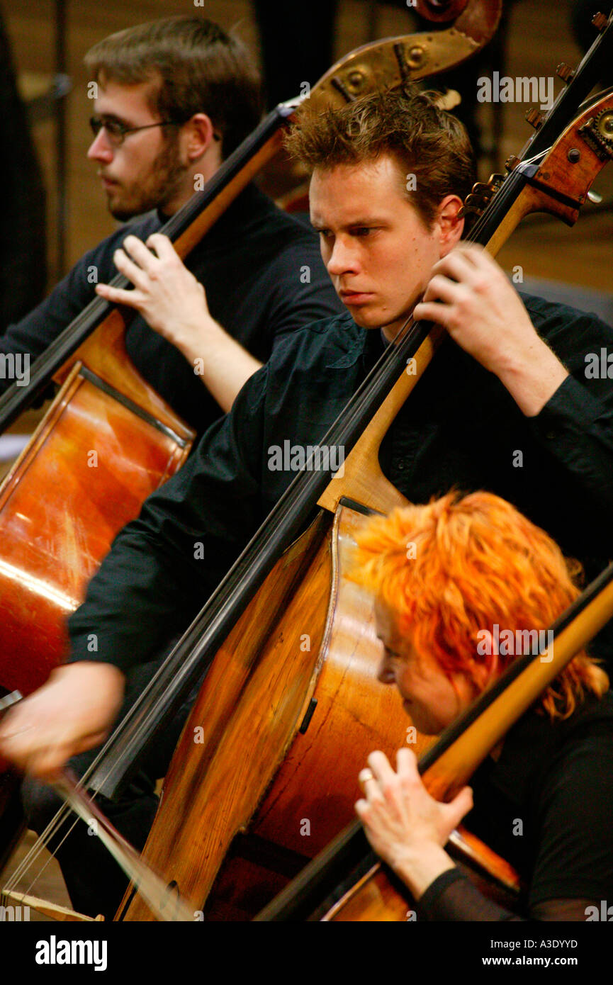 Two bass players Clearance