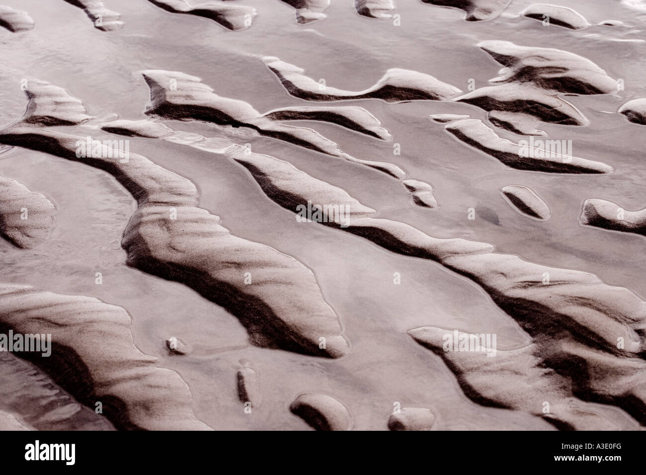 Abstract Beach Stock Photo
