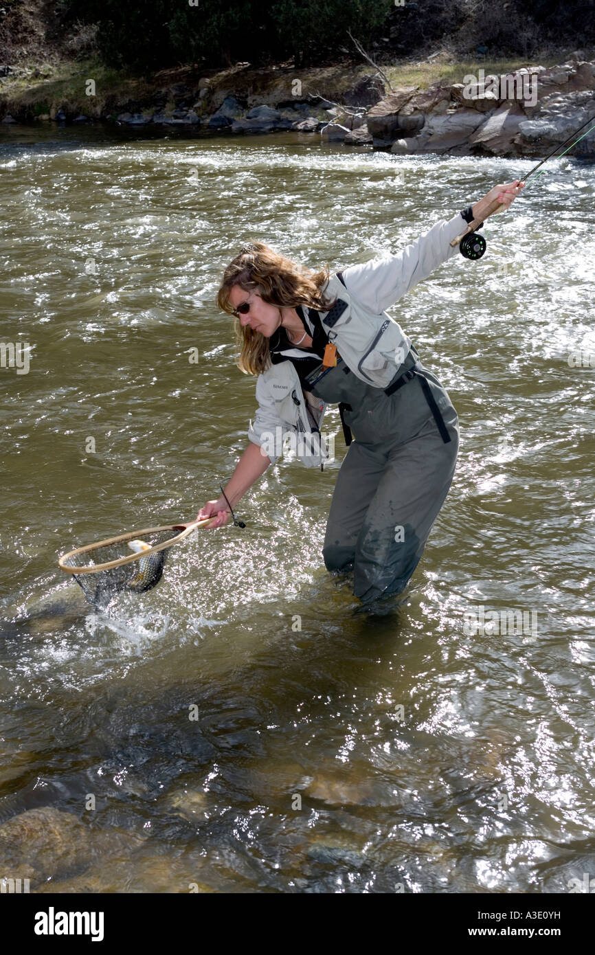 Woman Fly Fishing In Colorado's Arkansas River, Salida, Colorado, USA