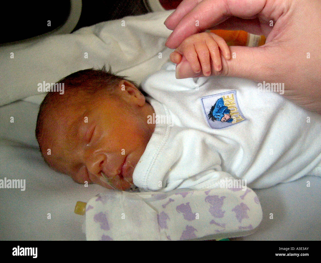 premature baby in hand