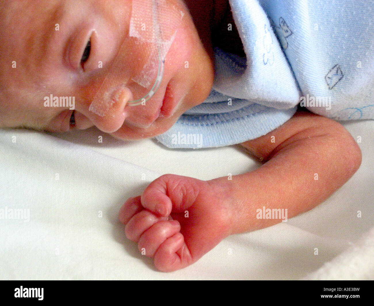 Gestation 28 Weeks High Resolution Stock Photography And Images Alamy