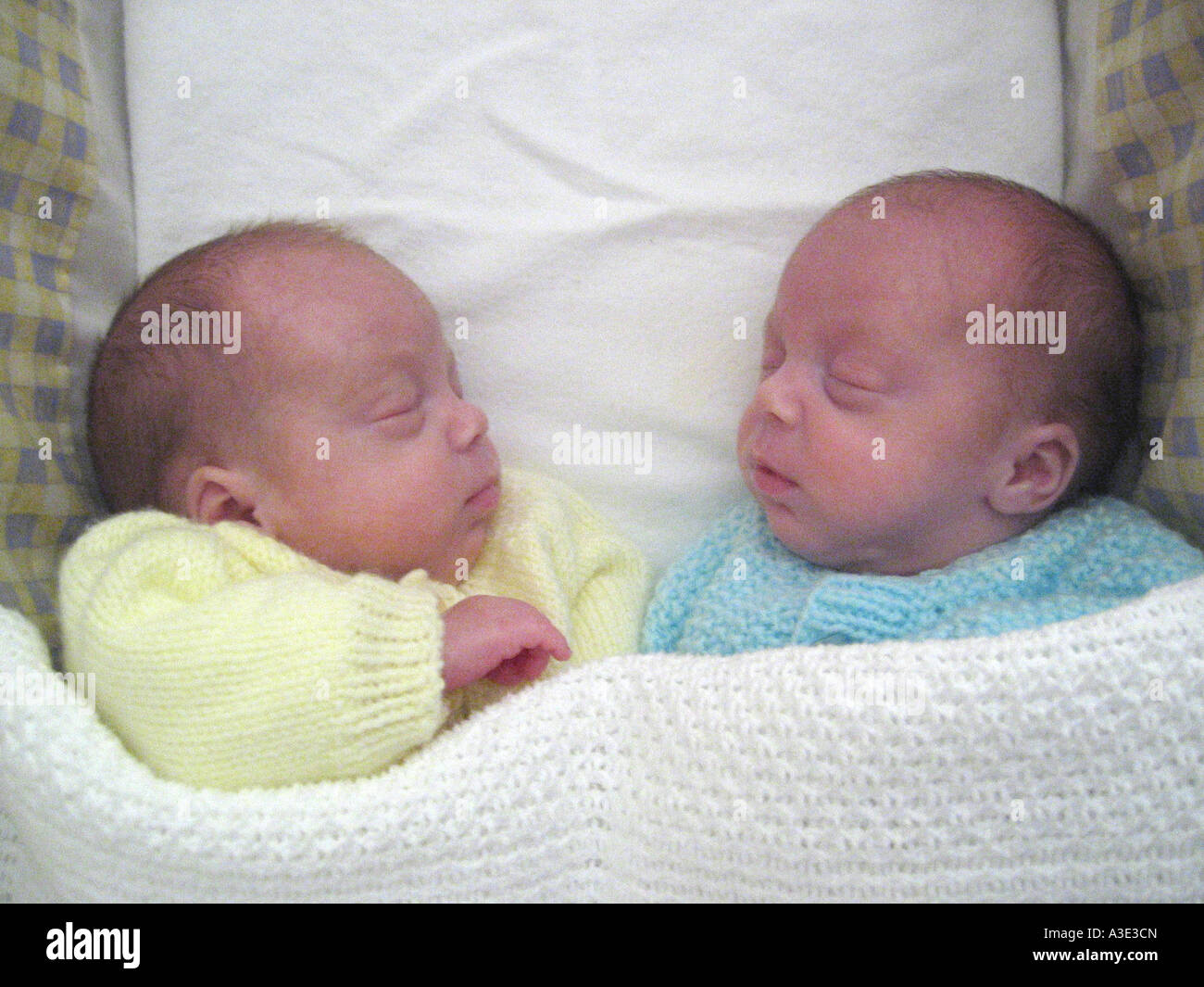 Identical twin baby boys in a moses basket Stock Photo Alamy