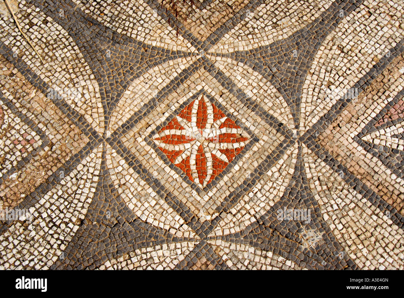 Colourful mosaic floral and geometric pattern at archaeological site of early Christian basilica Agia Trias North Cyprus Stock Photo