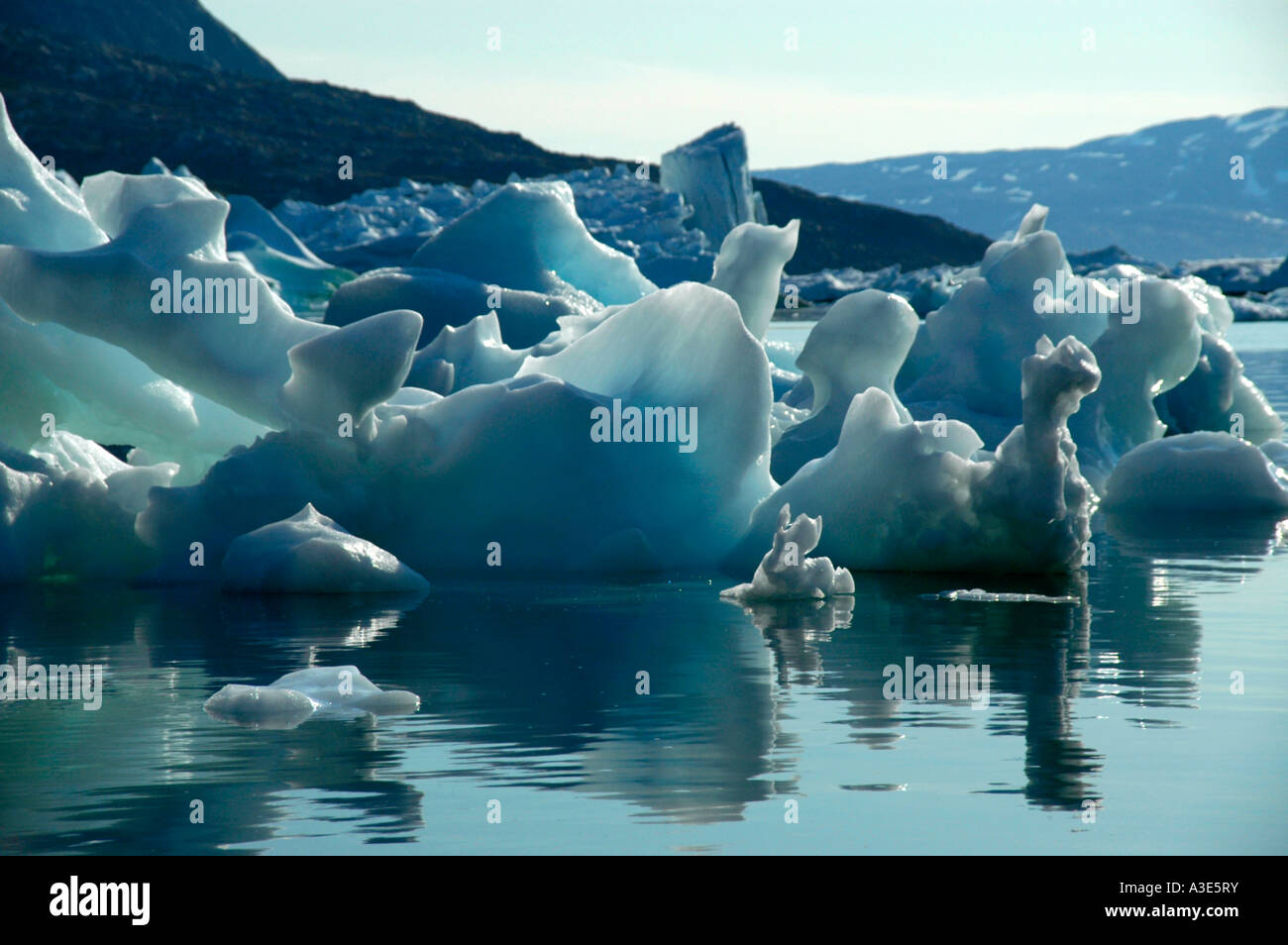 Icebergs swim in a bay Sermilik Fjord Sapulik Eastgreenland Stock Photo
