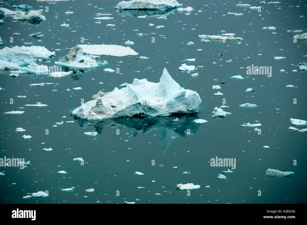 Icebergs swim in Sermilik Fjord Eastgreenland Stock Photo