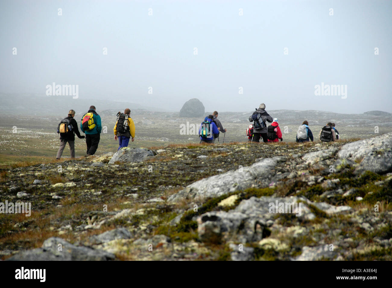 Hiking group hikes through swamp area into mist Eastgreenland Stock Photo