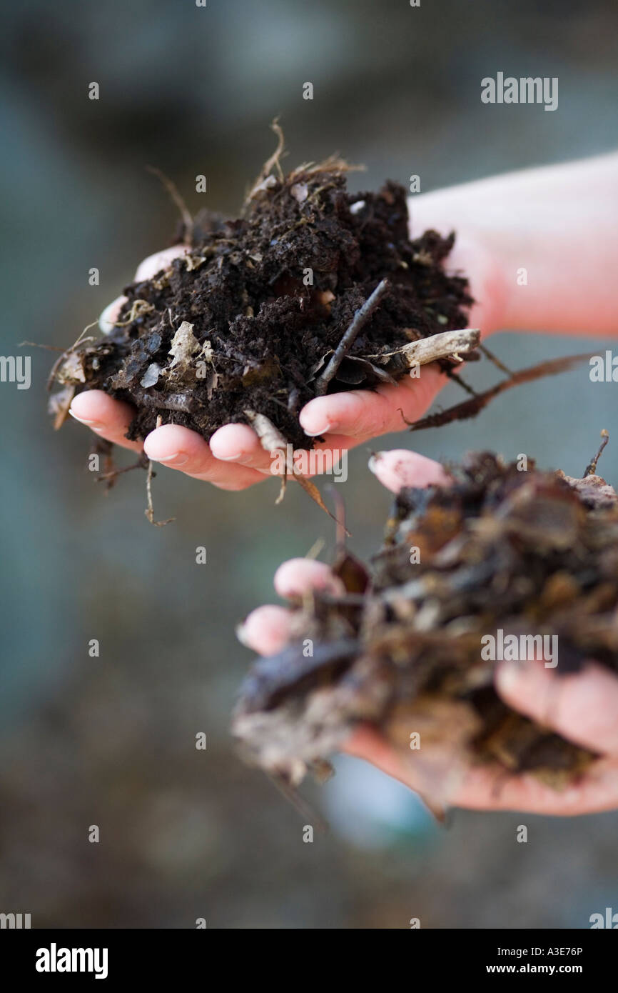 Hands holding two different types of home made compost at the Centre
