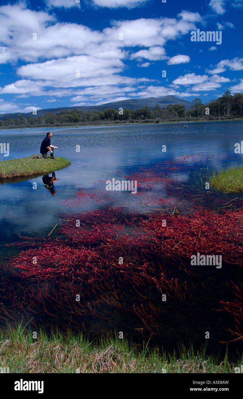 Bronte lagoon tasmania hires stock photography and images Alamy