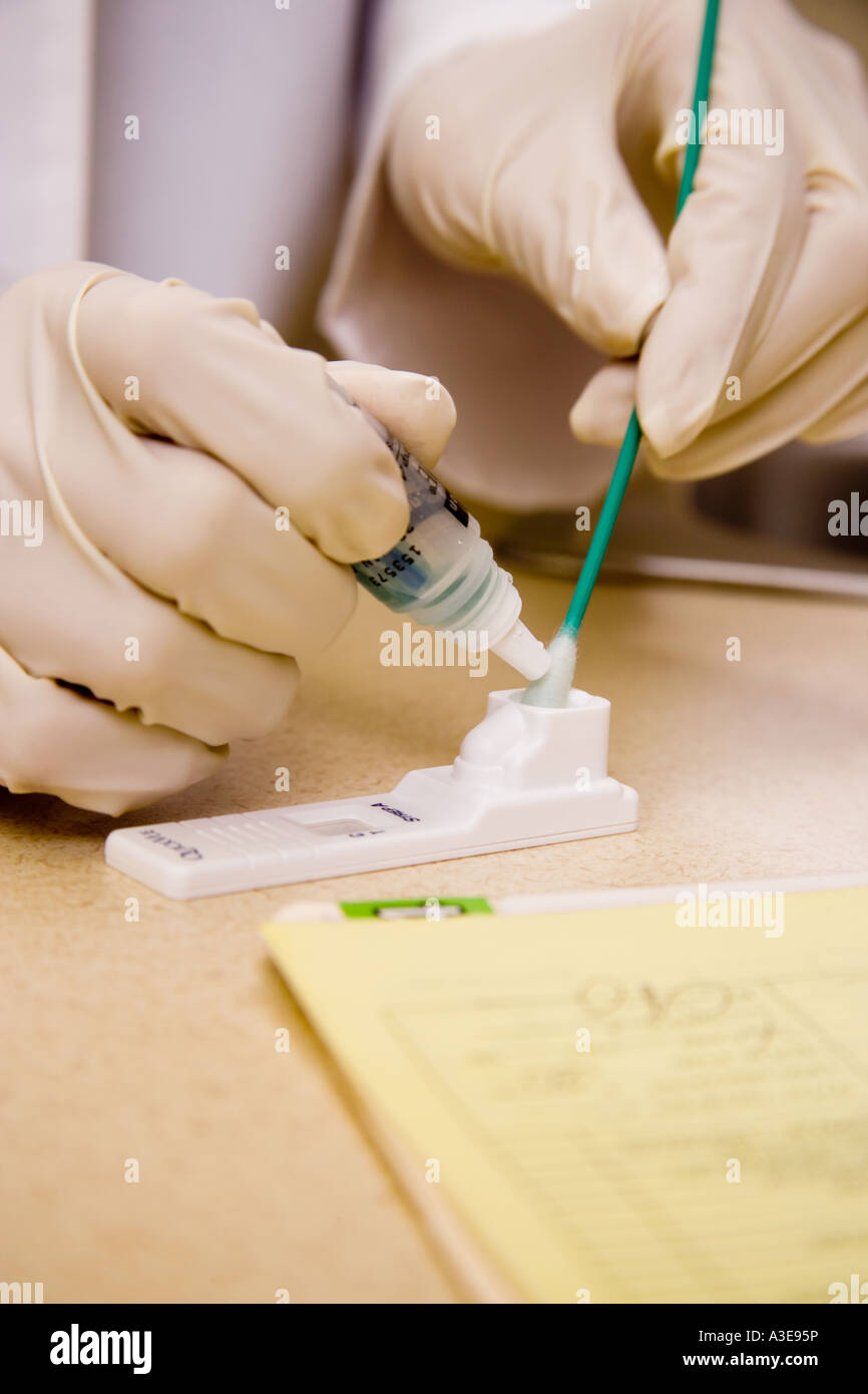 Doctor prepares buccal swab test applicator Stock Photo Alamy