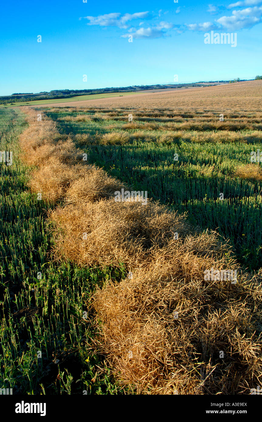 Swath of land hires stock photography and images Alamy