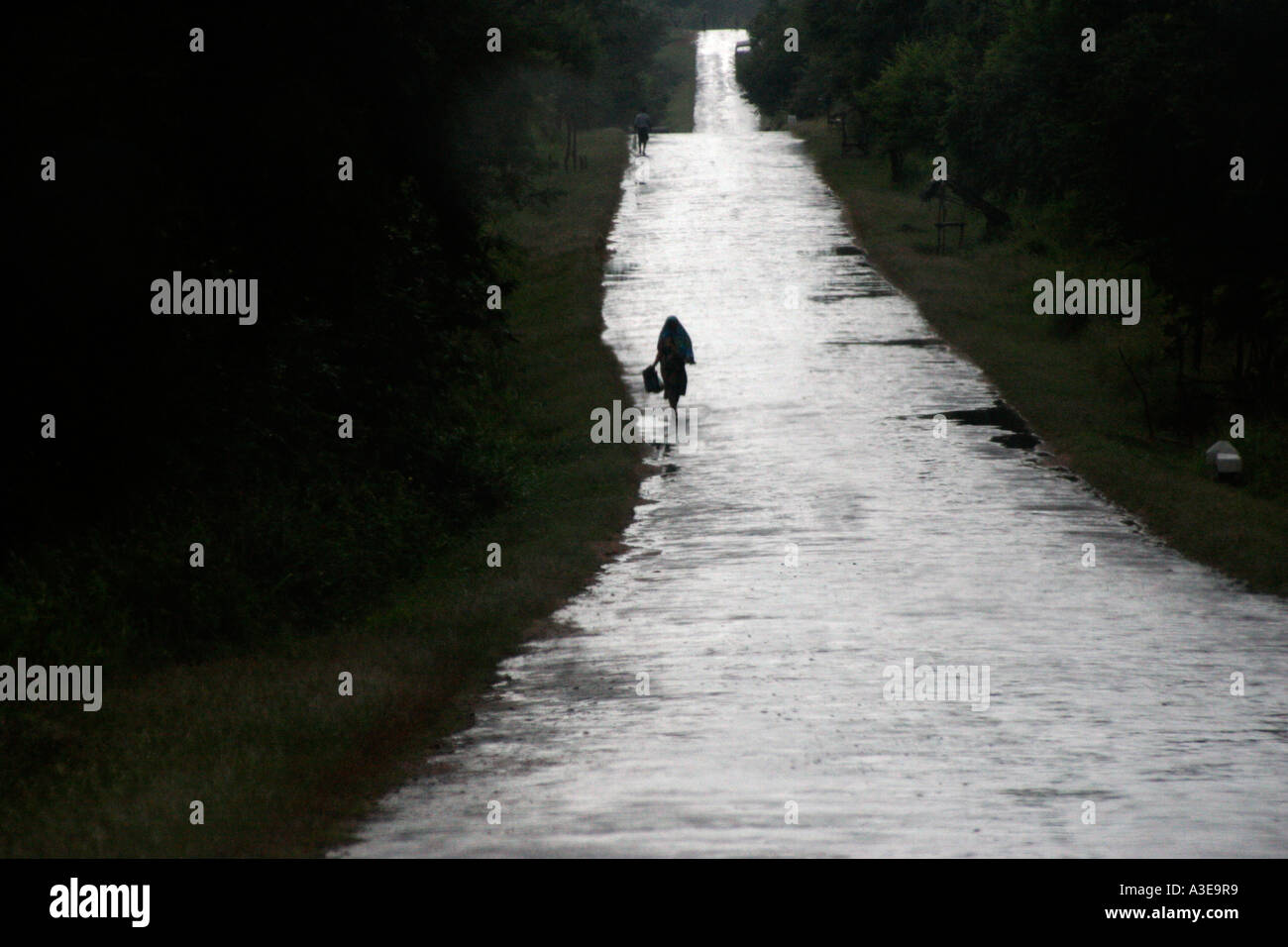 Sri Lanka, country road stretching into distance after rain, woman walking silhouetted against wet surface Stock Photo