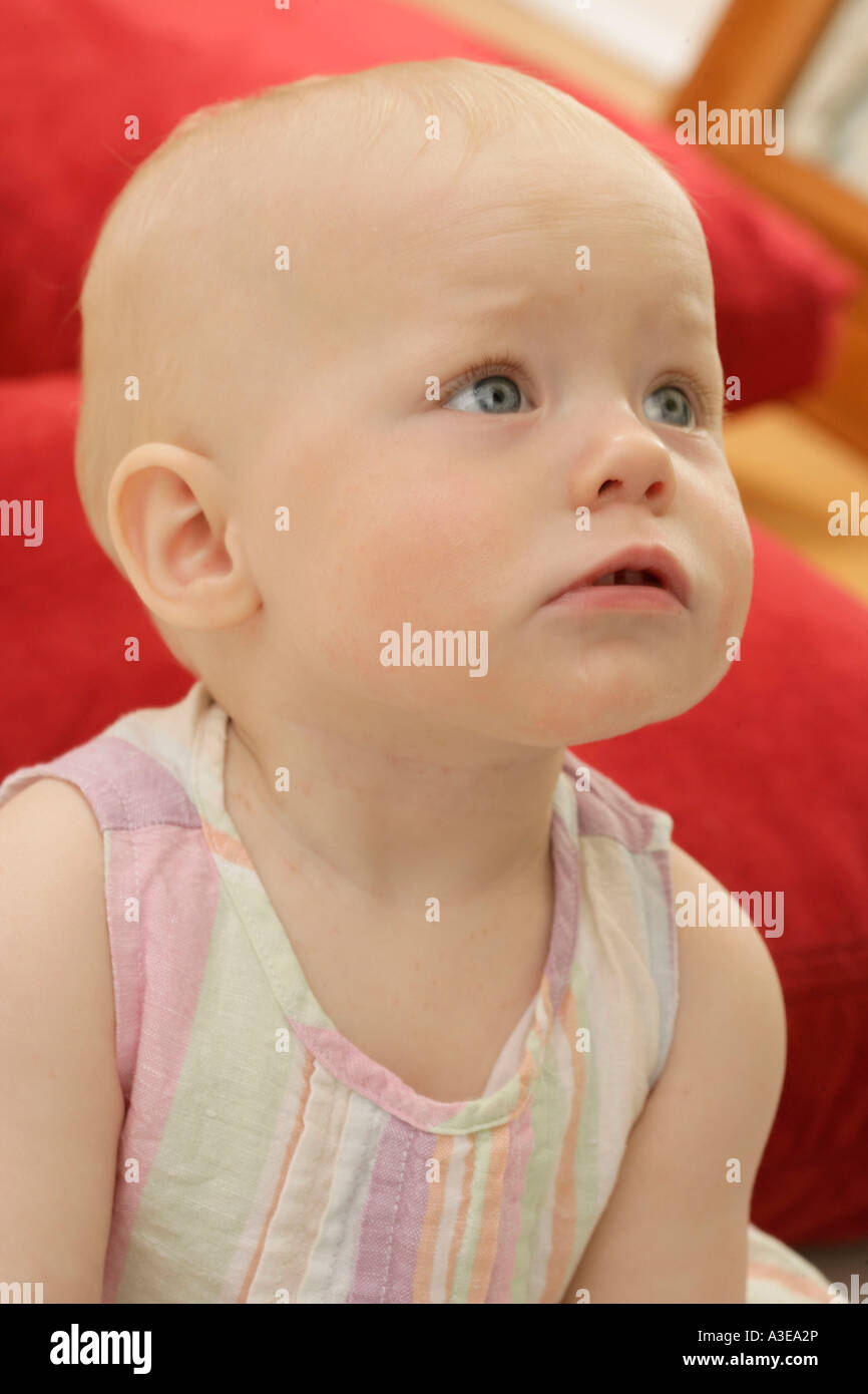 Eight month old baby girl with great big cheeks looking up. Stock Photo