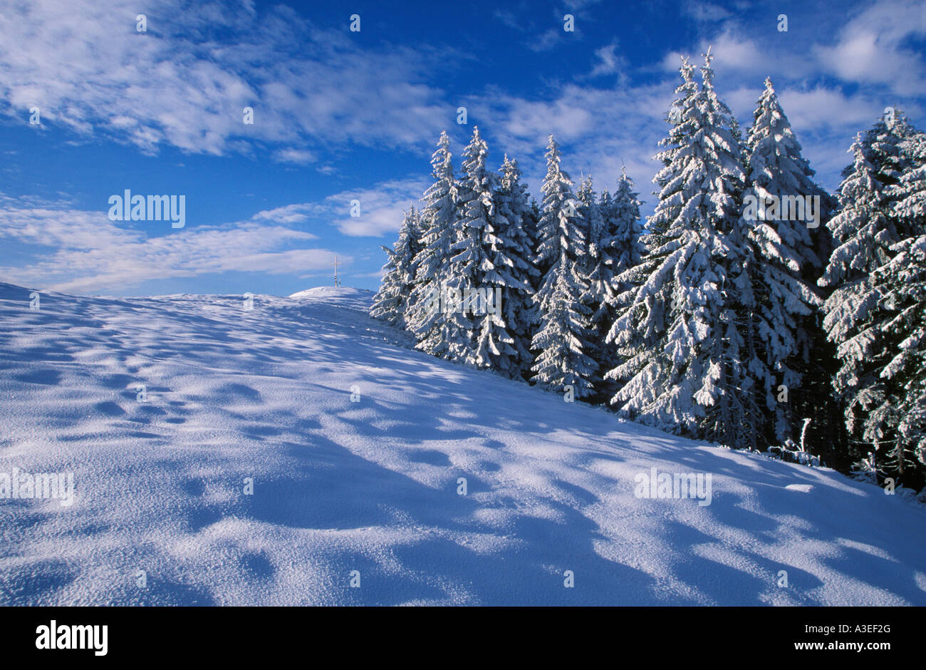 Zwiesel mountain, Upper Bavaria, Germany Stock Photo Alamy