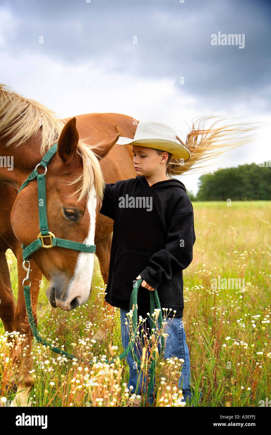 Boy with a horse Stock Photo