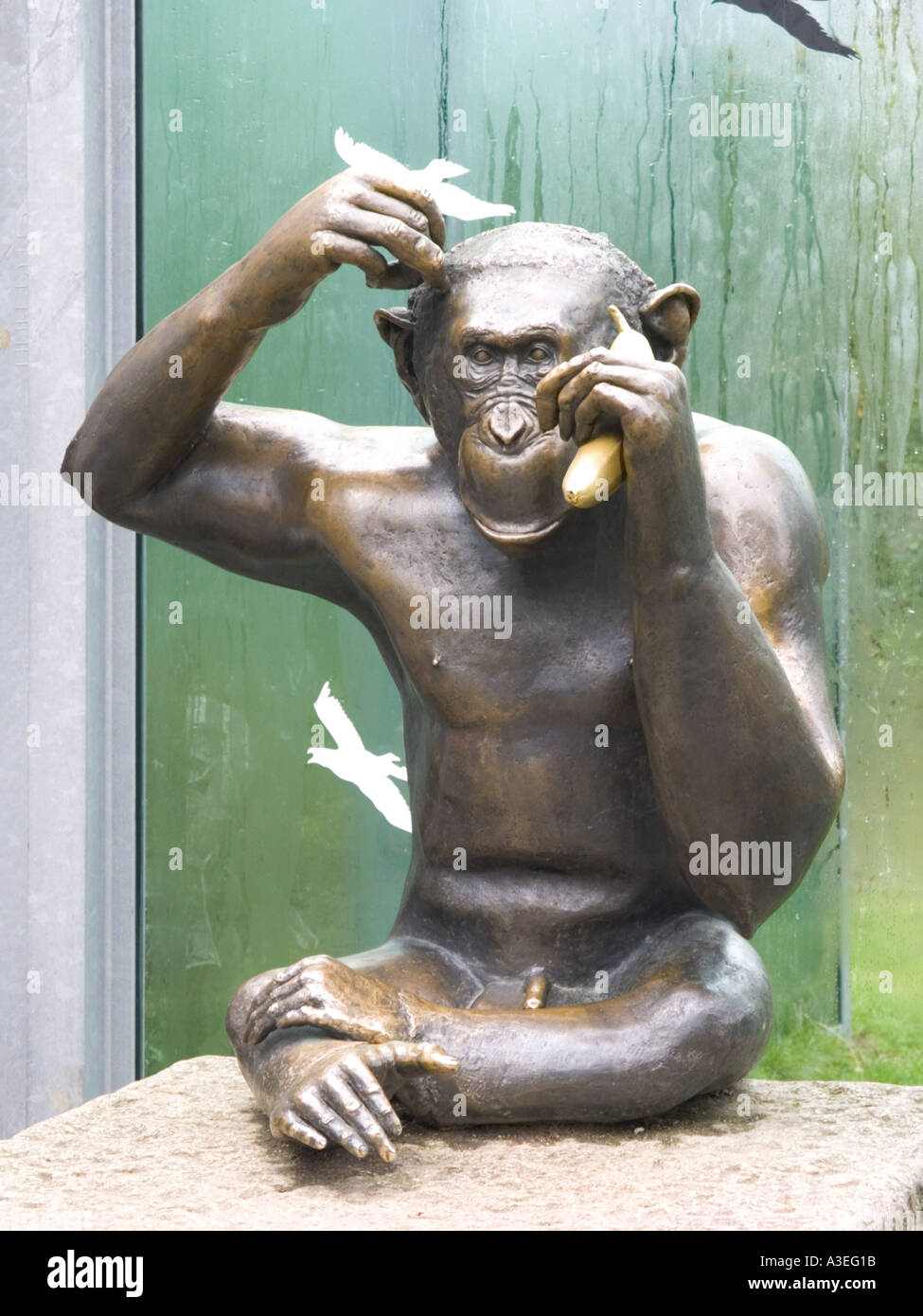 Bronze monkey statue sculpture figure mammals portrait mammal wildlife