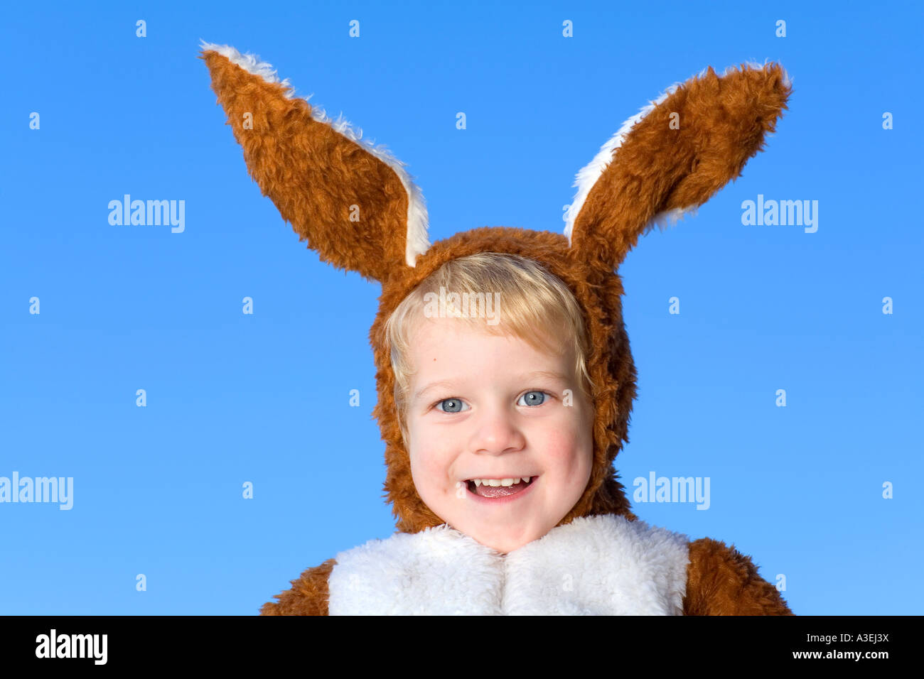 A three years old boy in the disguise of an easterbunny Stock Photo