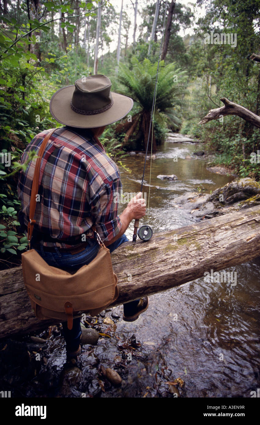 Fly fishing for trout Howqua River near Merrijig Victorian Alps NE Victoria Australia vertical