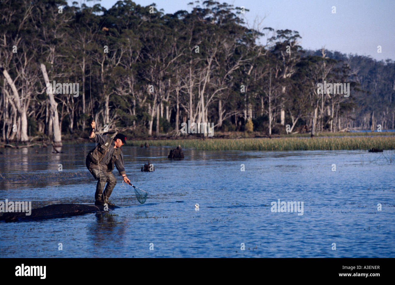 Trout fishing Lake Leake North East Highlands Tasmania Australia