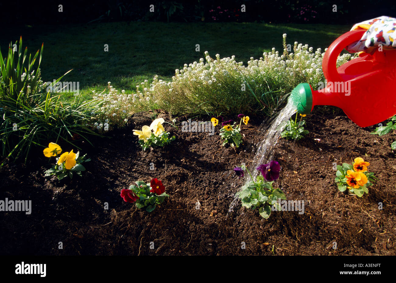 Watering garden Melbourne Australia horizontal Stock Photo Alamy