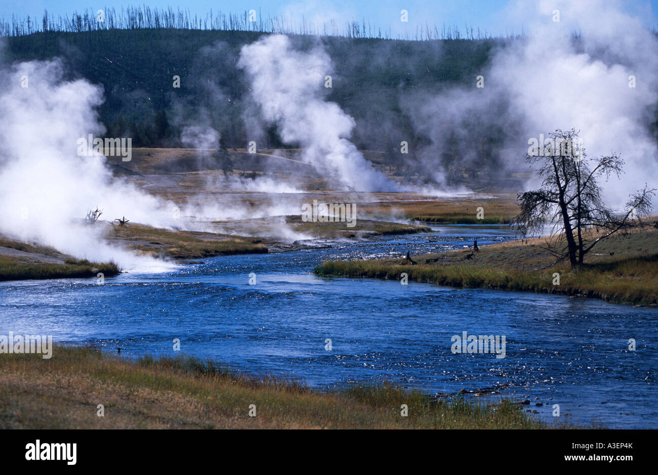Hot spring fumaroles along Firehole River Lower Geyser Basin